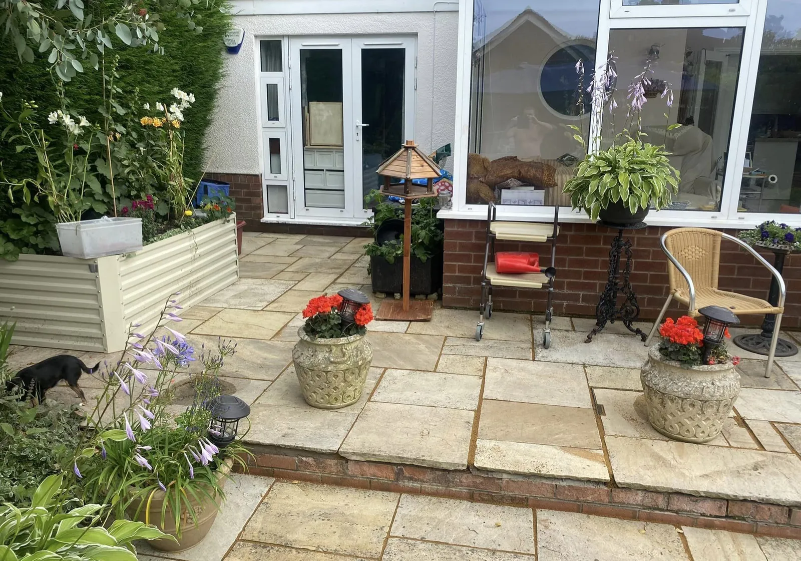 Back patio Garden